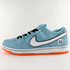 Nike Dunk Low Pro SB 'Gulf'