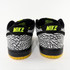 Nike Dunk Low SB QS '112'