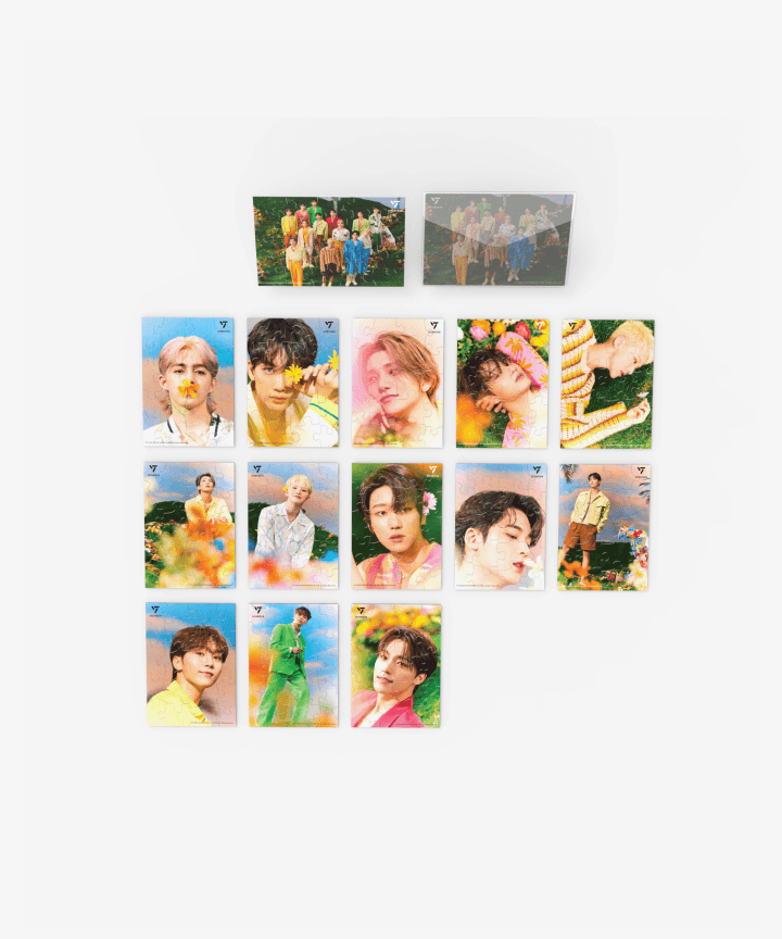 SEVENTEEN - POST CARD PUZZLE (SECTOR 17) (WONWOO) - interAsia