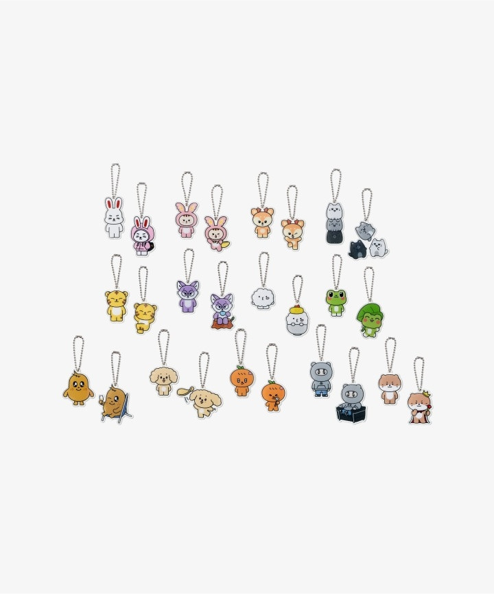 SEVENTEEN - 'MINITEEN' Lucky Draw (Acrylic Keyring) (Shipping in