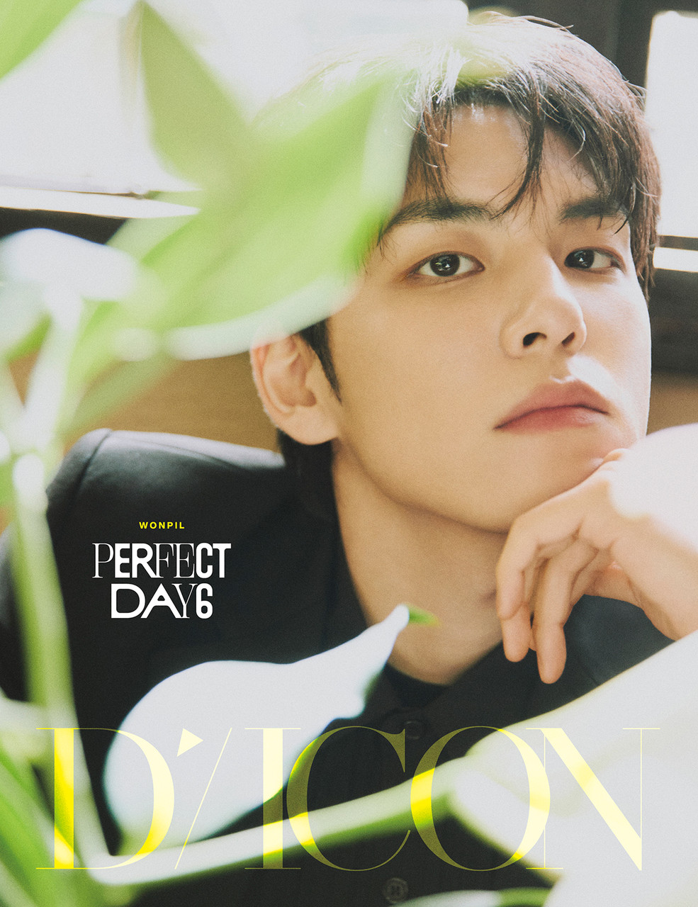 DAY6 THE BEST DAY 未開封 The Best Day (Day6 album) - Wikipedia