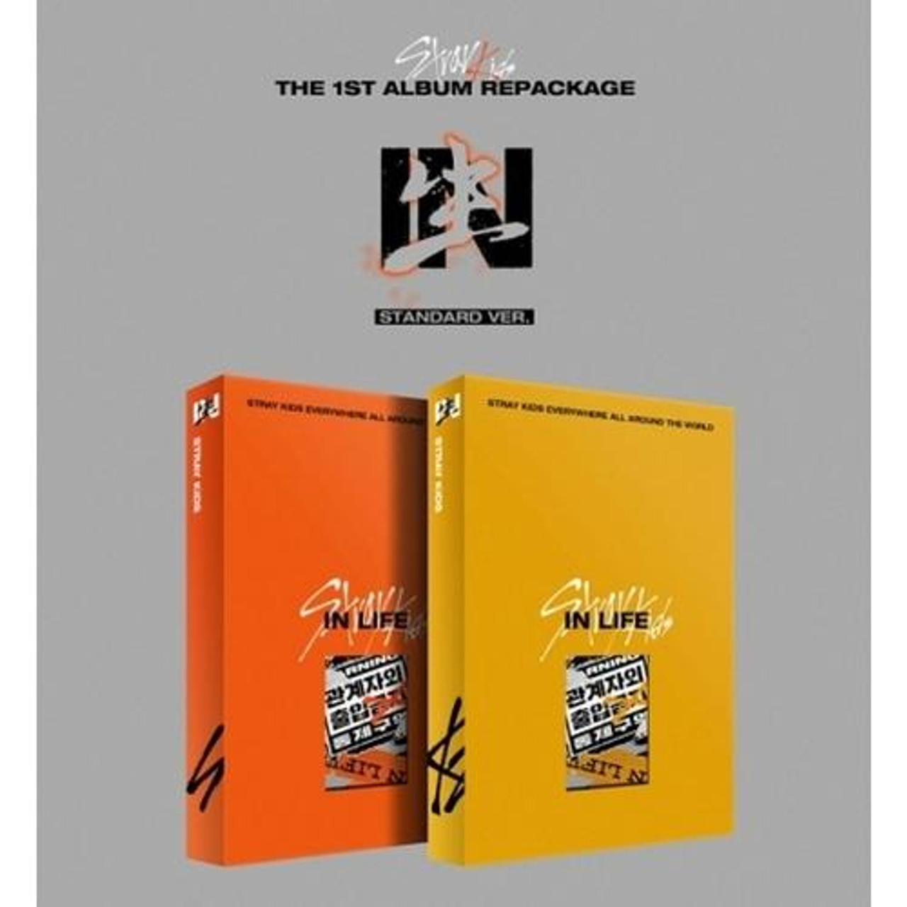 Stray Kids  Vol1 Repackage  IN生  IN LIFE    Random version 