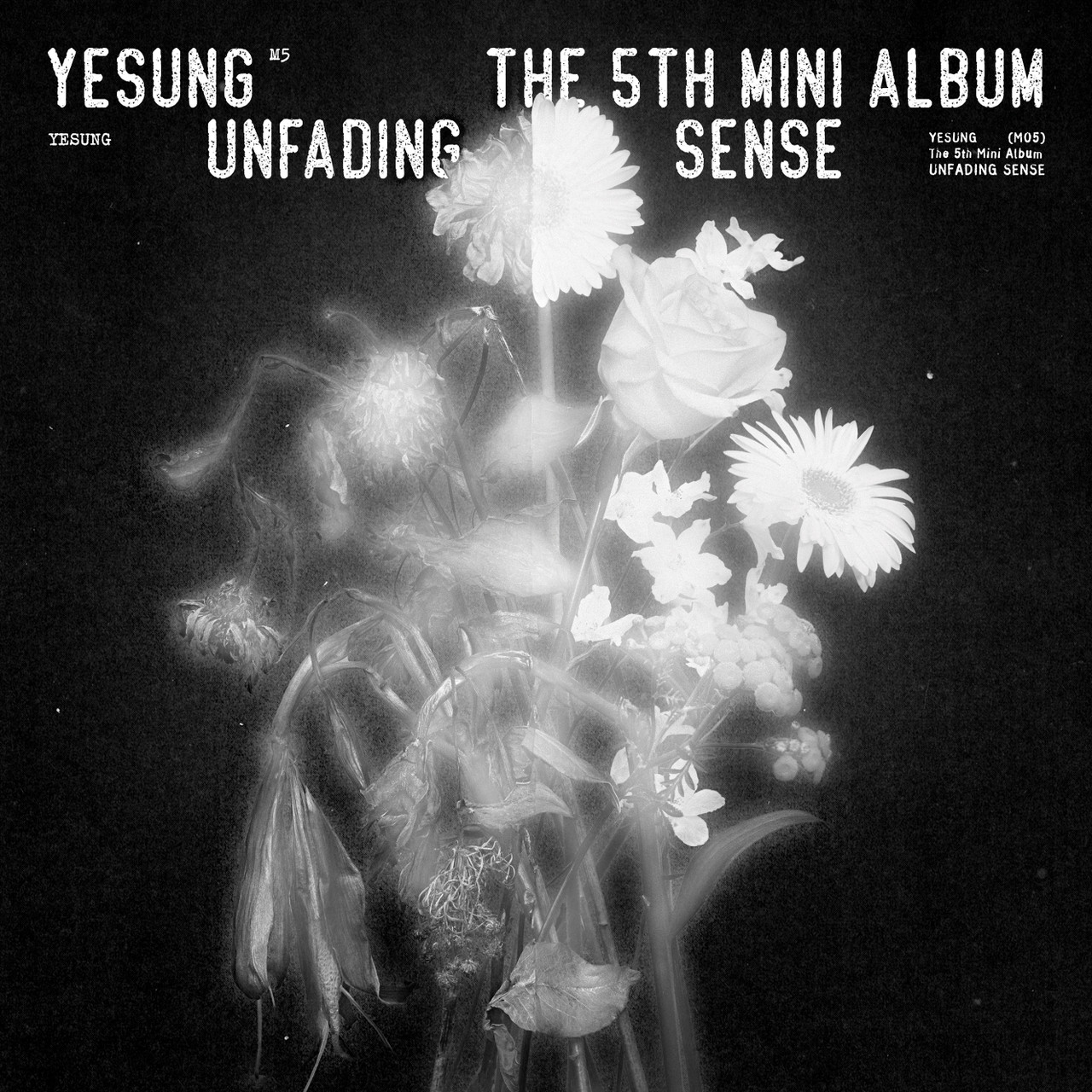 YESUNG  The 5th Mini Album Unfading Sense Special Ver