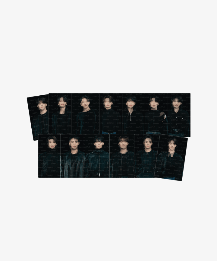 SEVENTEEN - TOUR 'FOLLOW' AGAIN TO INCHEON Lenticular Photo Card