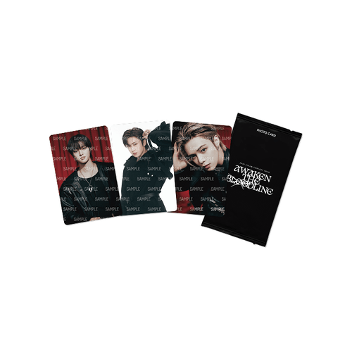 &TEAM - 2025 &TEAM CONCERT TOUR 'AWAKEN THE BLOODLINE' PHOTO CARD