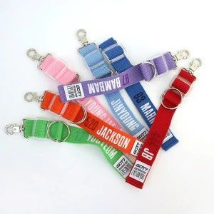 GOT7 - 2018 WORLD TOUR GOODS [STRAP KEYRING]