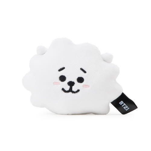 [BT21] RJ WINTER HEATABLE TOY