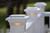 Timbertech LED 4 Post Cap Light