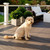 Composite Legacy 5/4" X 6" X 20' Grooved Composite Deck Board - Mocha