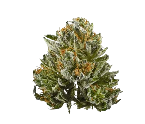 Cannabinoids