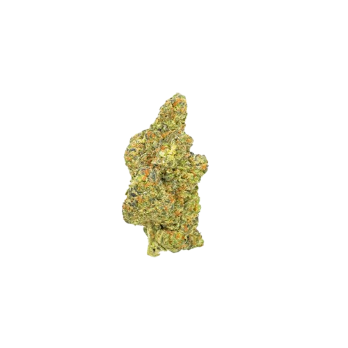 pantydropper 【Dry Flower】PURPLE RAIN pantydropper 【Dry Flower】PURPLE RAIN pantydropper 【Dry Flower