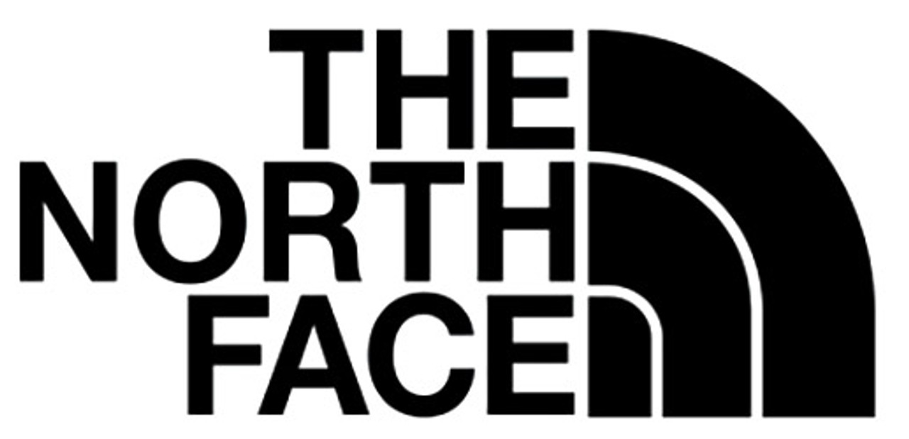 logo the north face