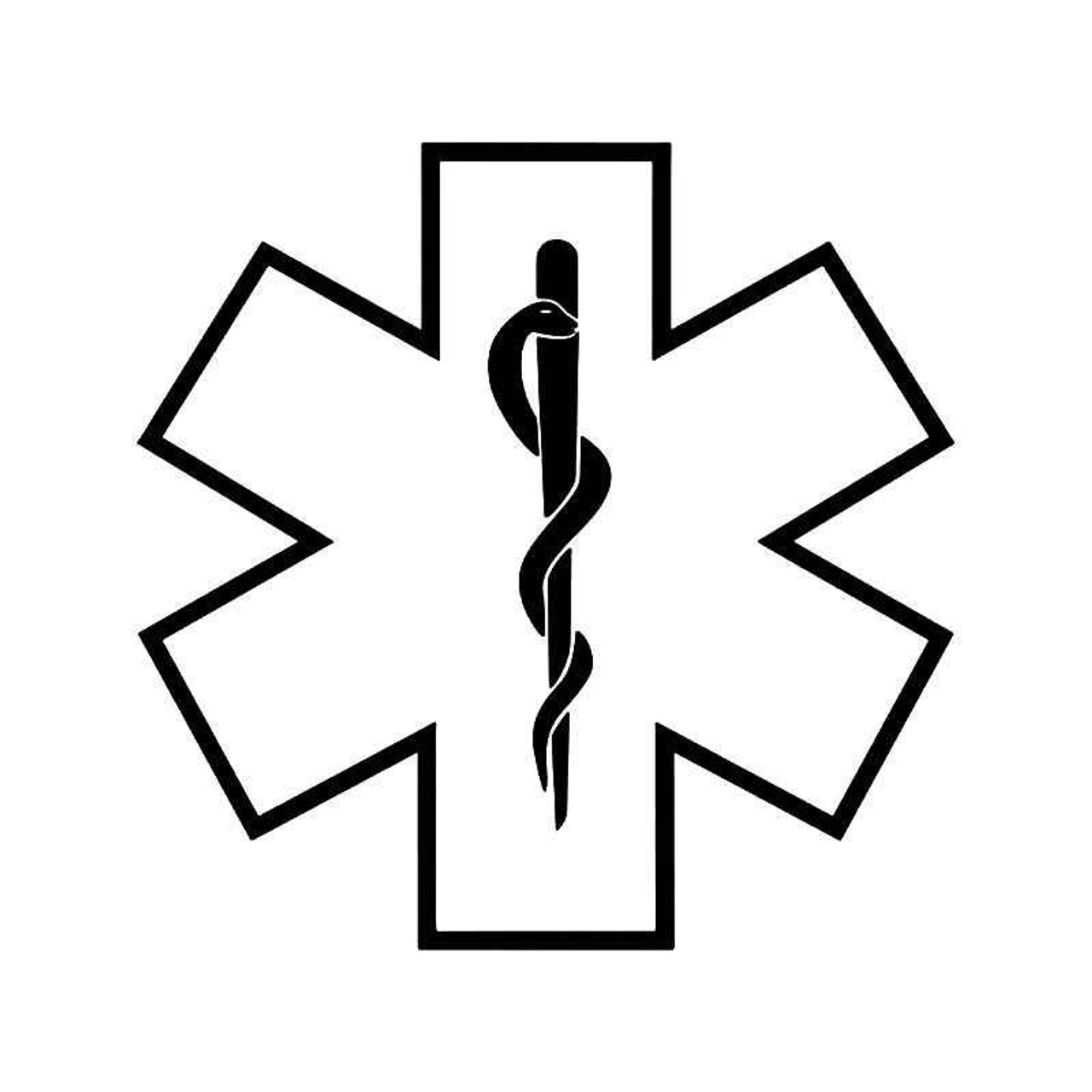 Star Of Life Vinyl Sticker