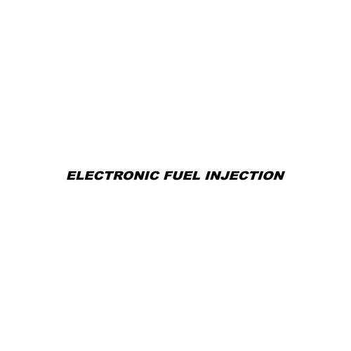 ELECTRONIC FUEL INJECTION Aftermarket Decal High glossy, premium 3 mill vinyl, with a life span of 5 - 7 years!