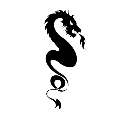 Dragon 58 Vinyl Decal <div> High glossy, premium 3 mill vinyl, with a life span of 5 – 7 years! </div>