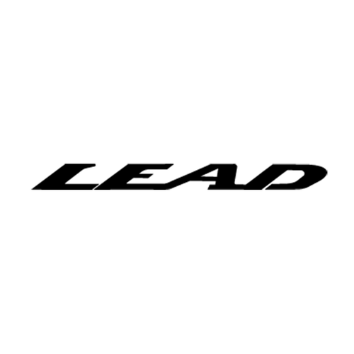 Honda Lead Vinyl Decal <div> High glossy, premium 3 mill vinyl, with a life span of 5 – 7 years! </div>