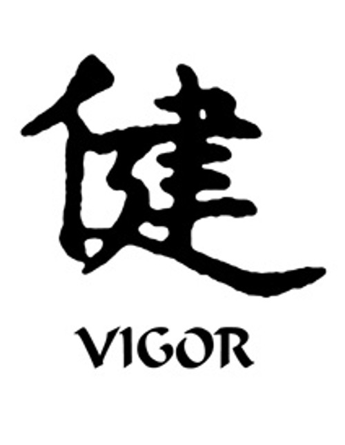 Vigor Kanji Symbol Vinyl Decal