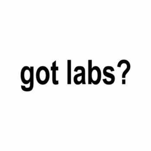 Got Labs?  Vinyl Decal High glossy, premium 3 mill vinyl, with a life span of 5 - 7 years!
