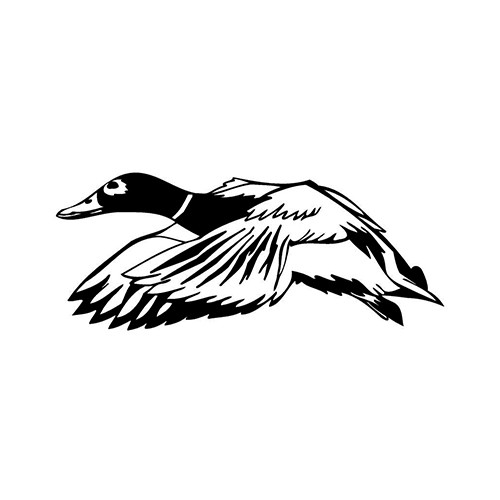 Duck ver4   Vinyl Decal High glossy, premium 3 mill vinyl, with a life span of 5 - 7 years!