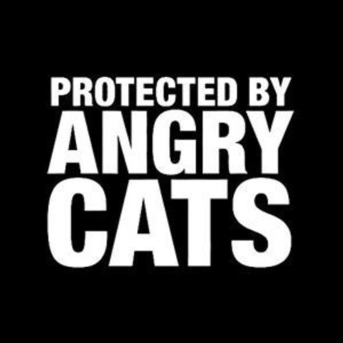 Protected By Angry Cats  Decal High glossy, premium 3 mill vinyl, with a life span of 5 - 7 years!