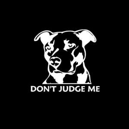 Don’t Judge me pitbull pit bull  Decal High glossy, premium 3 mill vinyl, with a life span of 5 - 7 years!