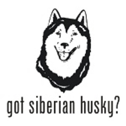 Got Siberian Husky? Dog   Decal High glossy, premium 3 mill vinyl, with a life span of 5 - 7 years!