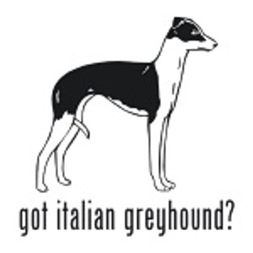 Got Italian Greyhound? Toy Dog   Decal High glossy, premium 3 mill vinyl, with a life span of 5 - 7 years!