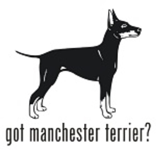 Got Manchester Terrier? Dog   Decal  v.1 High glossy, premium 3 mill vinyl, with a life span of 5 - 7 years!