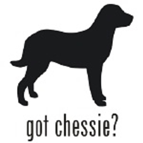 <p>Got Chessie? Chesapeake Bay Retriever Dog Silhouette Decal High glossy, premium 3 mill vinyl, with a life span of 5 - 7 years!</p>