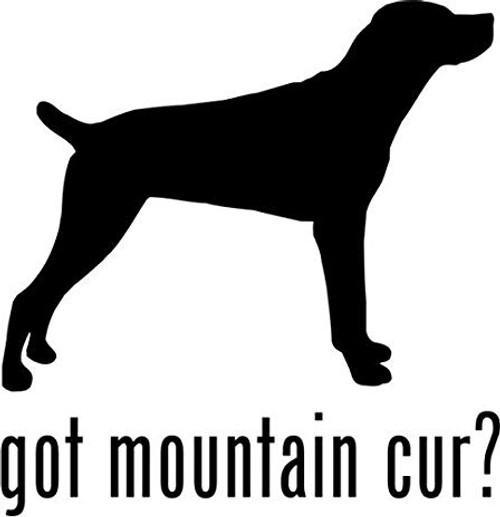 Got Mountain Cur? Dog Decal 