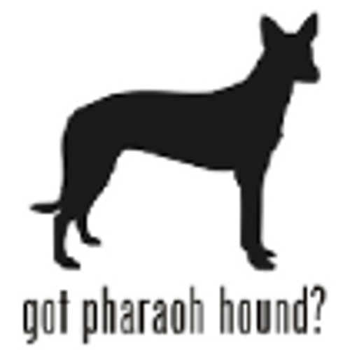 Got Pharaoh Hound? Dog   Decal High glossy, premium 3 mill vinyl, with a life span of 5 - 7 years!