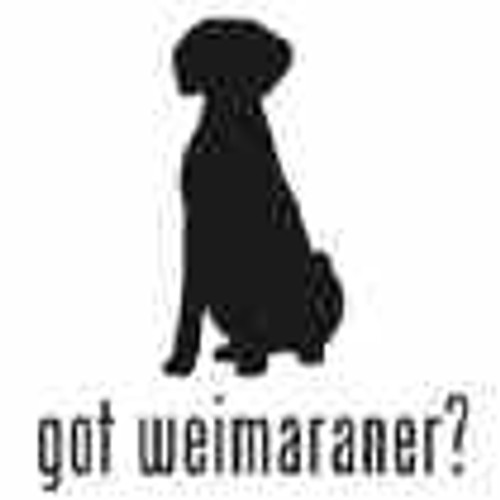 Got Weimaraner? Dog    Decal  v.1 High glossy, premium 3 mill vinyl, with a life span of 5 - 7 years!