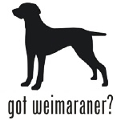 Got Weimaraner? Dog    Decal  v.2 High glossy, premium 3 mill vinyl, with a life span of 5 - 7 years!