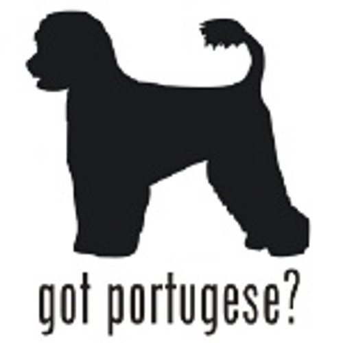 Got Portugese? Water Dog    Decal High glossy, premium 3 mill vinyl, with a life span of 5 - 7 years!