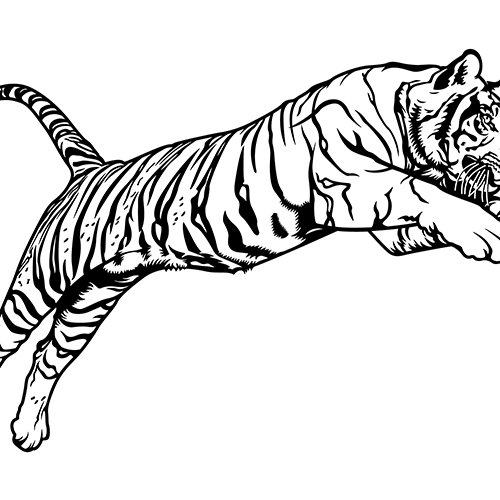 Bengal Tiger jump Vinyl Decal High glossy, premium 3 mill vinyl, with a life span of 5 - 7 years!