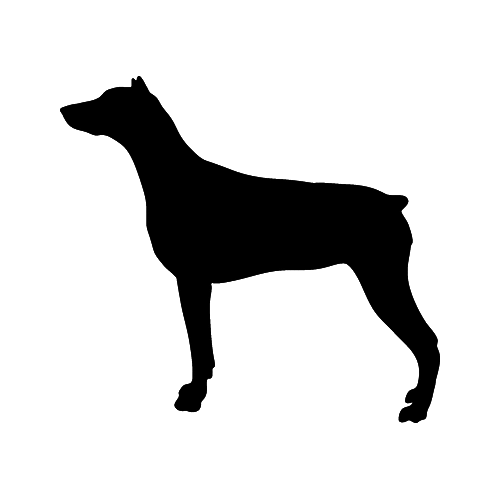 Doberman  STDW Guard Dog  Vinyl Decal High glossy, premium 3 mill vinyl, with a life span of 5 - 7 years!