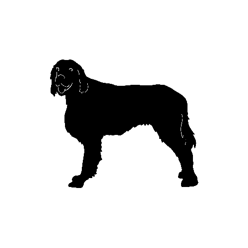 Irish Setter  STDS ver2      Vinyl Decal High glossy, premium 3 mill vinyl, with a life span of 5 - 7 years!