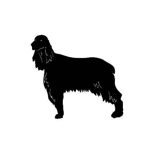 Irish Setter  STDS ver3      Vinyl Decal High glossy, premium 3 mill vinyl, with a life span of 5 - 7 years!