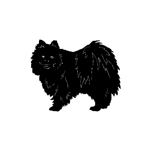 Pomeranian Dog   ver1     Vinyl Decal High glossy, premium 3 mill vinyl, with a life span of 5 - 7 years!