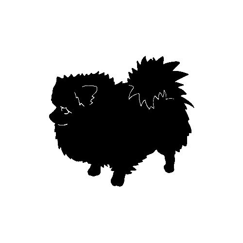 Pomeranian Dog   ver2     Vinyl Decal High glossy, premium 3 mill vinyl, with a life span of 5 - 7 years!