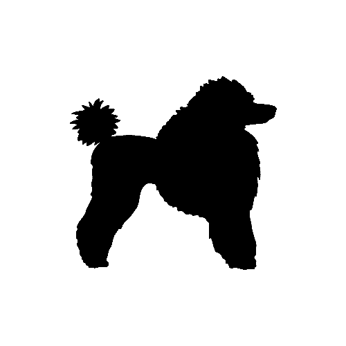 Poodle Dog   ver5      Vinyl Decal High glossy, premium 3 mill vinyl, with a life span of 5 - 7 years!