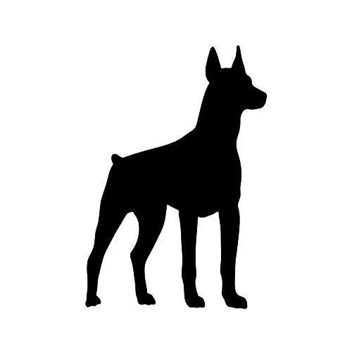 Small Miniature Pinscher   ver4   s Vinyl Decal High glossy, premium 3 mill vinyl, with a life span of 5 - 7 years!