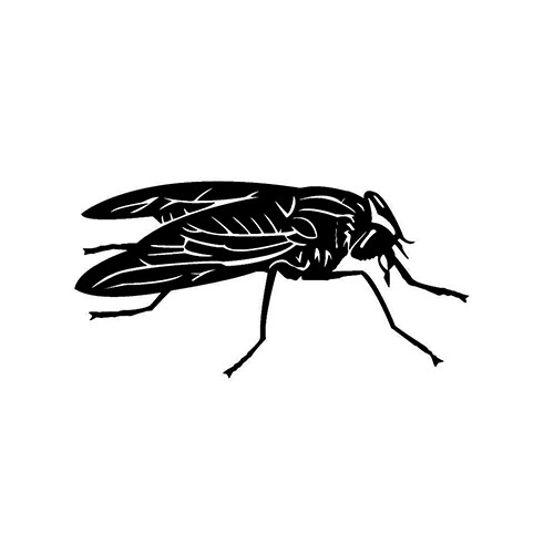 Horse Fly     Vinyl Decal High glossy, premium 3 mill vinyl, with a life span of 5 - 7 years!