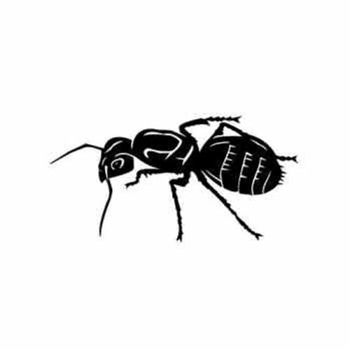 Bee ver1   Vinyl Decal High glossy, premium 3 mill vinyl, with a life span of 5 - 7 years!