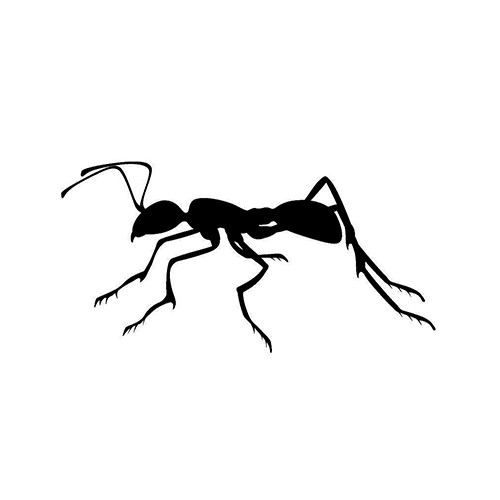 Ant ver1   Vinyl Decal High glossy, premium 3 mill vinyl, with a life span of 5 - 7 years!