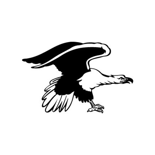 Eagle Bald Vinyl Decal High glossy, premium 3 mill vinyl, with a life span of 5 - 7 years!