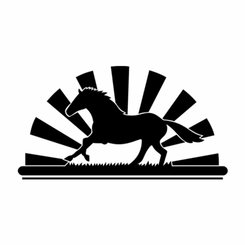 Horse Rays Vinyl Decal High glossy, premium 3 mill vinyl, with a life span of 5 - 7 years!