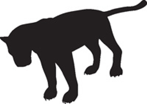 Panther 2 Vinyl Decal High glossy, premium 3 mill vinyl, with a life span of 5 - 7 years!