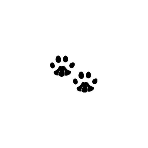 Little Paw Prints Sticker High glossy, premium 3 mill vinyl, with a life span of 5 - 7 years!