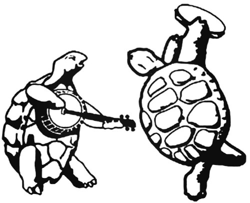 The Grateful Dead Dancing Terrapins